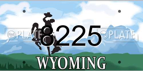 8225 Wyoming License Plate