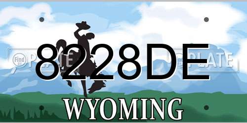 8228DE Wyoming License Plate
