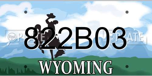 822B03 Wyoming License Plate