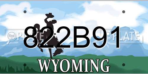 822B91 Wyoming License Plate