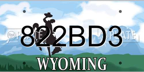 822BD3 Wyoming License Plate