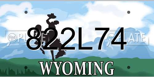 822L74 Wyoming License Plate