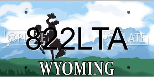 822LTA Wyoming License Plate