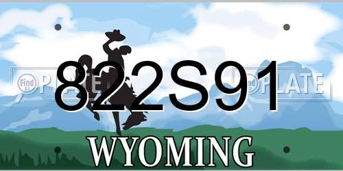 822S91 Wyoming License Plate