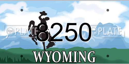 8250 Wyoming License Plate
