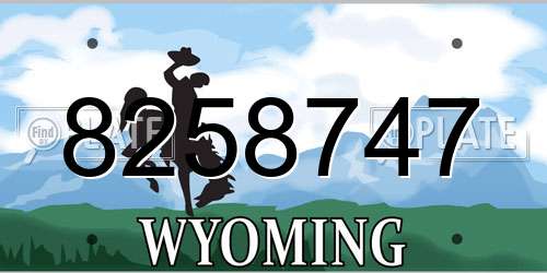 8258747 Wyoming License Plate