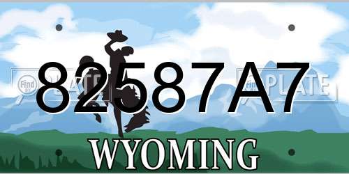 82587A7 Wyoming License Plate