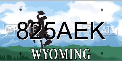 825AEK Wyoming License Plate