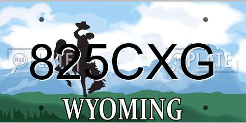 825CXG Wyoming License Plate
