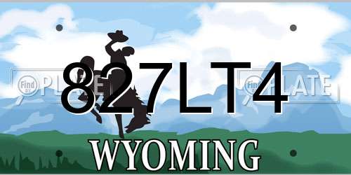 827LT4 Wyoming License Plate