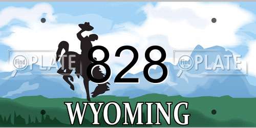 828 Wyoming License Plate
