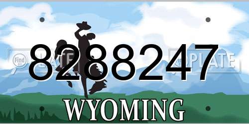 8288247 Wyoming License Plate