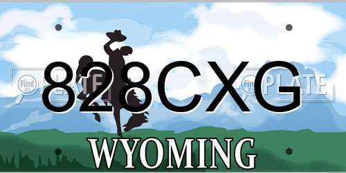 828CXG Wyoming License Plate