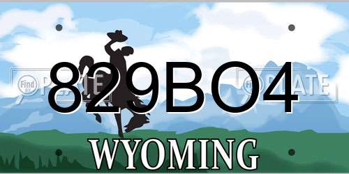 829BO4 Wyoming License Plate