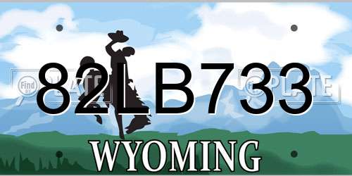 82LB733 Wyoming License Plate