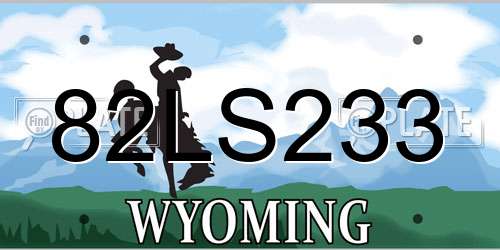 82LS233 Wyoming License Plate