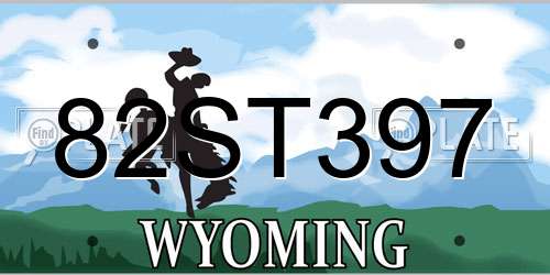 82ST397 Wyoming License Plate