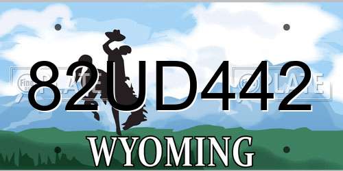82UD442 Wyoming License Plate