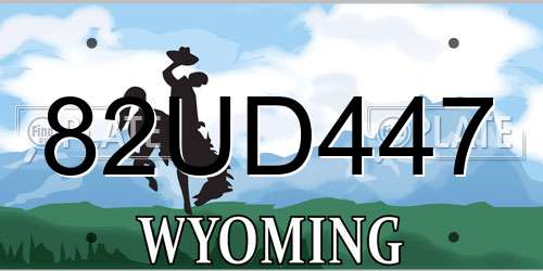 82UD447 Wyoming License Plate