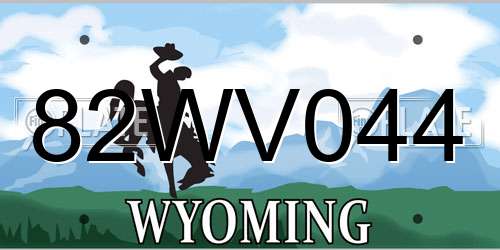 82WV044 Wyoming License Plate