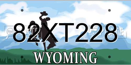 82XT228 Wyoming License Plate