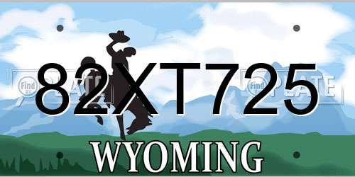 82XT725 Wyoming License Plate