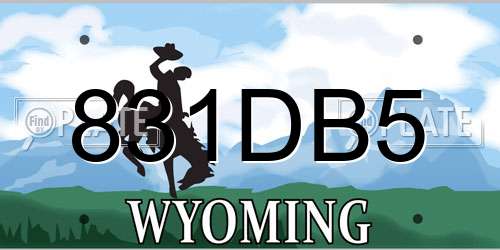 831DB5 Wyoming License Plate
