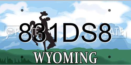 831DS8 Wyoming License Plate