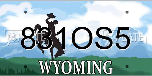 831OS5 Wyoming License Plate