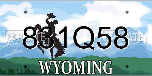 831Q58 Wyoming License Plate