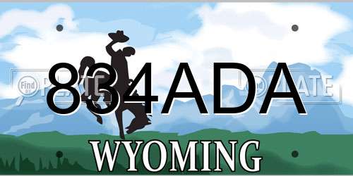834ADA Wyoming License Plate