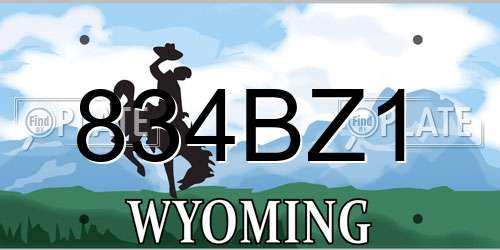834BZ1 Wyoming License Plate