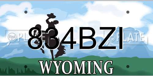 834BZI Wyoming License Plate