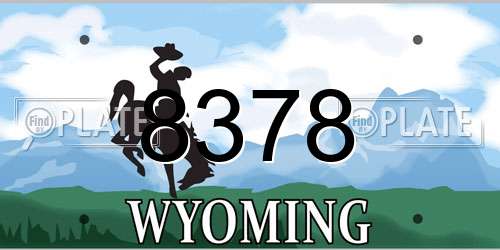 8378 Wyoming License Plate
