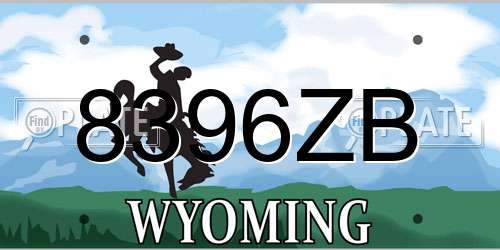 8396ZB Wyoming License Plate