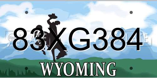 83XG384 Wyoming License Plate