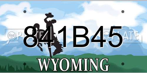 841B45 Wyoming License Plate