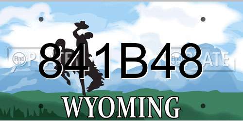 841B48 Wyoming License Plate