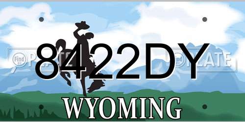 8422DY Wyoming License Plate
