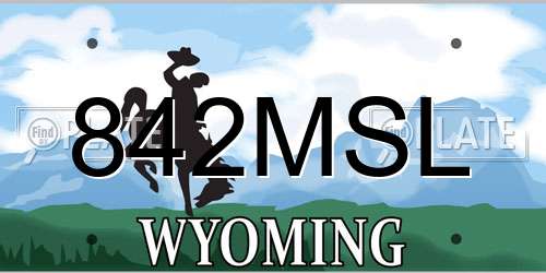 842MSL Wyoming License Plate