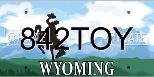 842TOY Wyoming License Plate