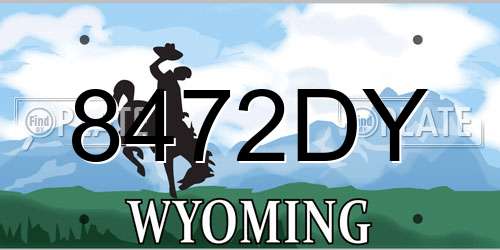 8472DY Wyoming License Plate