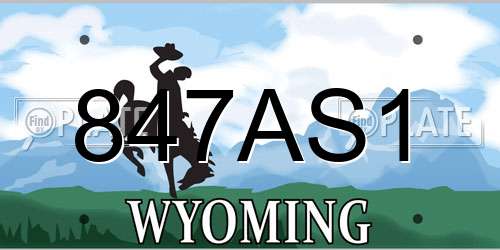 847AS1 Wyoming License Plate