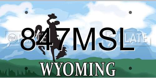 847MSL Wyoming License Plate