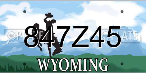 847Z45 Wyoming License Plate