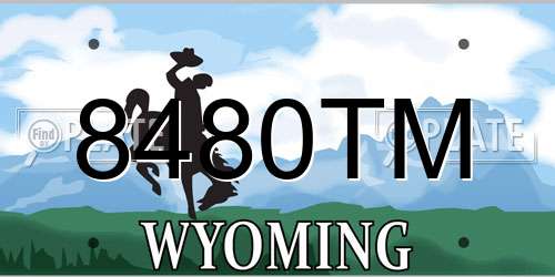 8480TM Wyoming License Plate