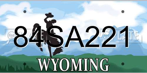 84SA221 Wyoming License Plate