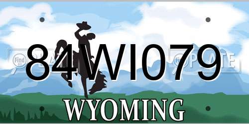 84WI079 Wyoming License Plate
