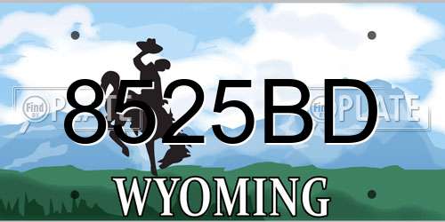8525BD Wyoming License Plate