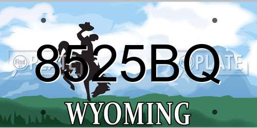 8525BQ Wyoming License Plate